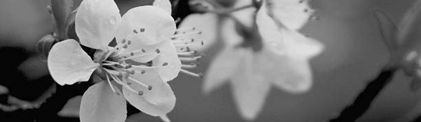 “Empowering Health. Inspiring Growth. Transforming Lives.”