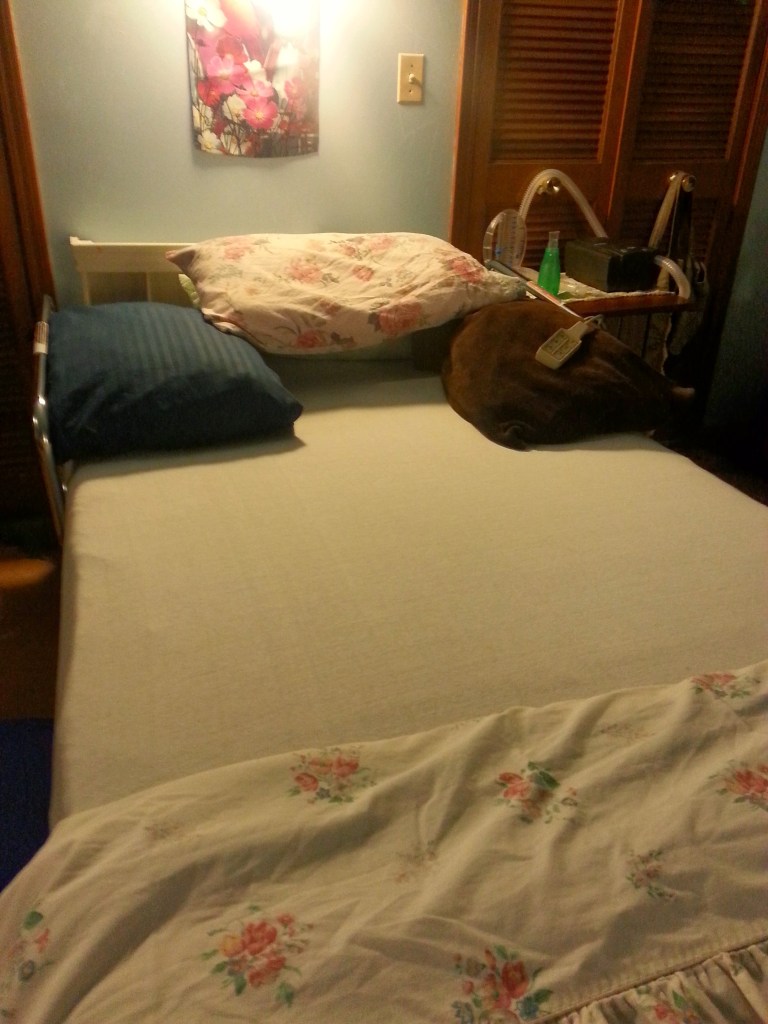 Hospital Bed At Home
